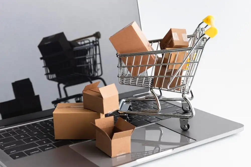 Dropshipping-met-Bol.com-Dropshipadvies.nl_